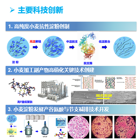 河南工业大学产学研科技成果推介(六) 图片