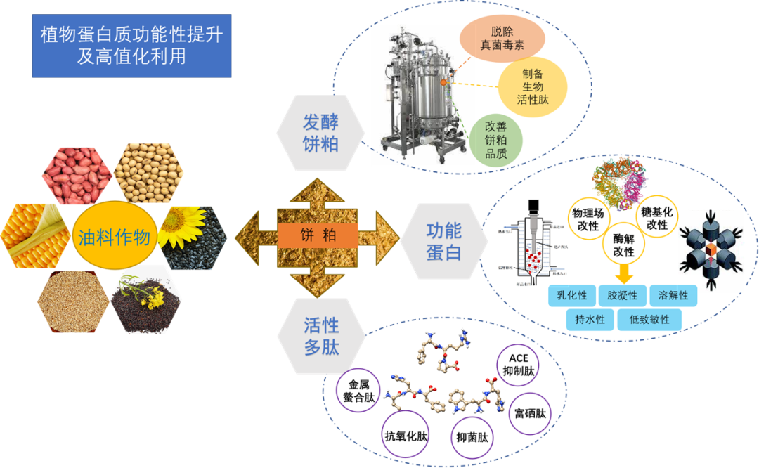 河南工业大学产学研科技成果推介(十) 图片