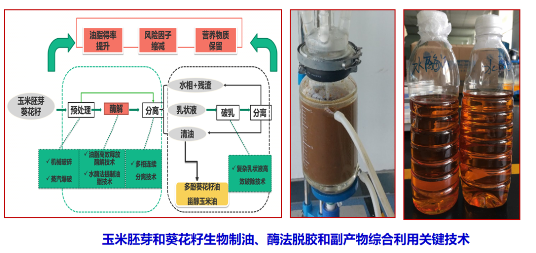 河南工业大学产学研科技成果推介(九) 图片